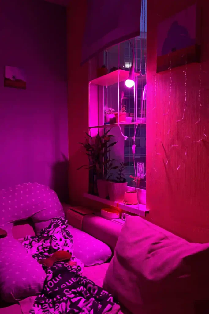 Untitled design (6) best grow lights for indoor herbs