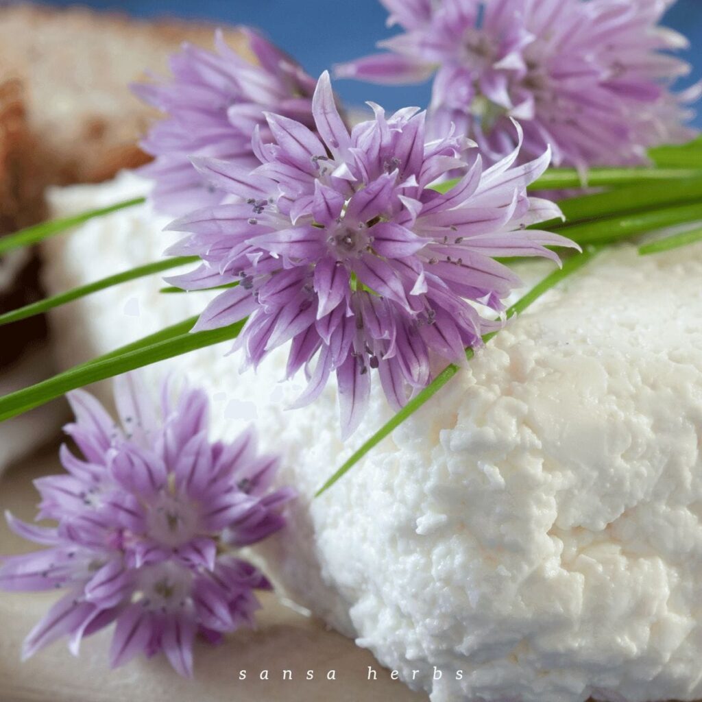 chive flowers