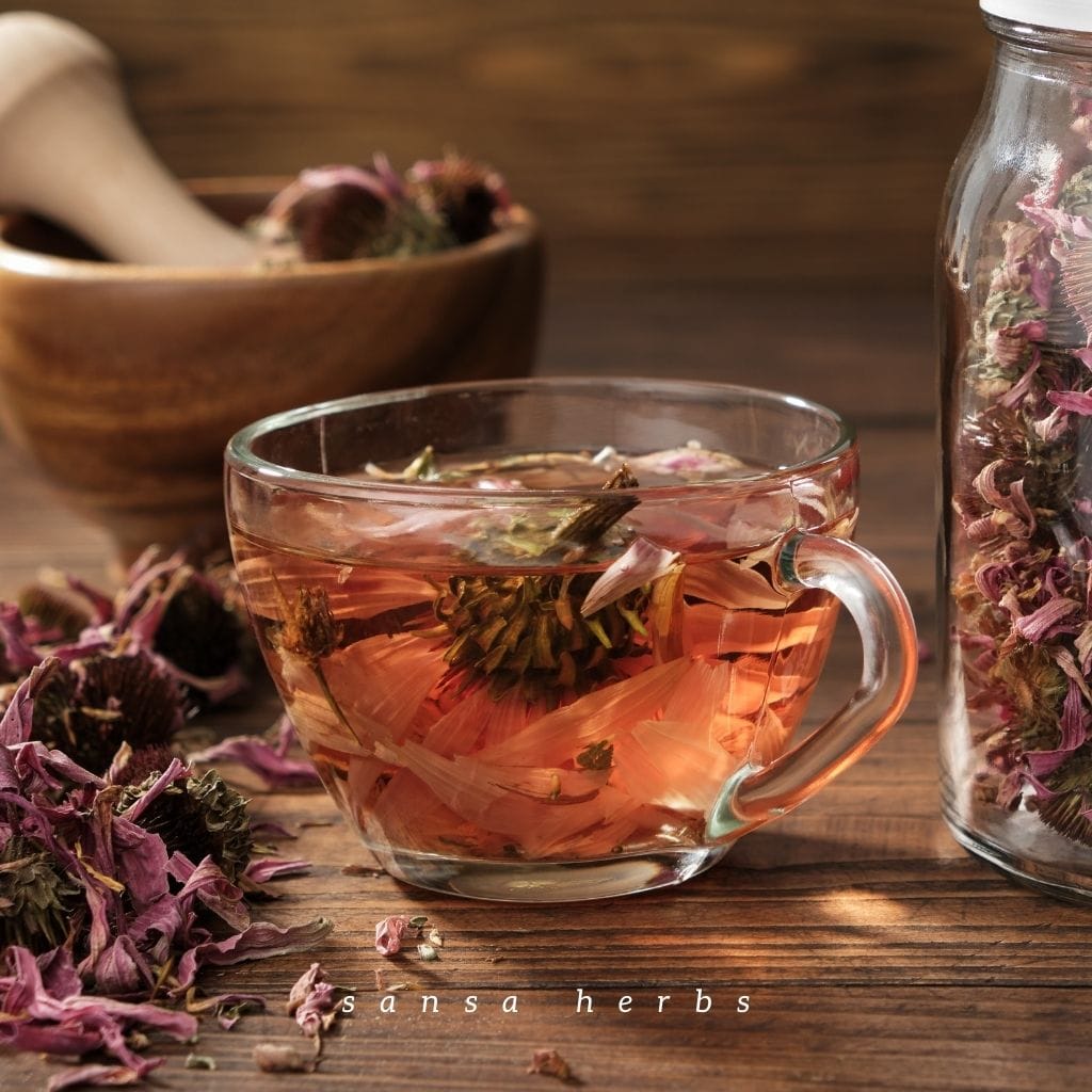 cup-of-echinacea-tea echinace tea