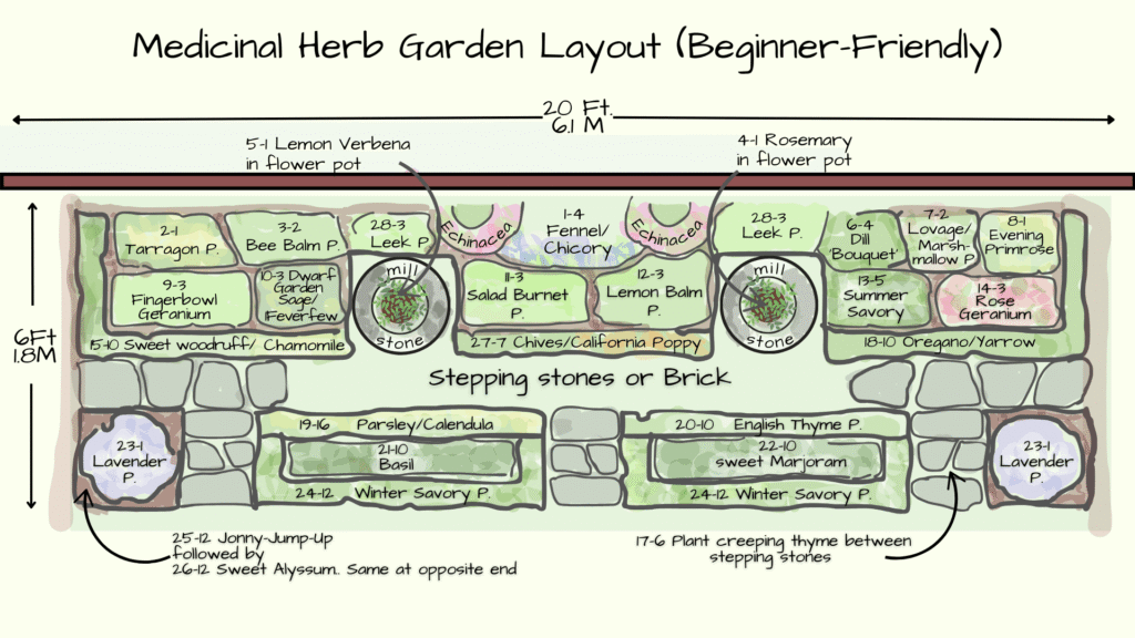 herb-garden-layout medicinal herb garden layout floor plan