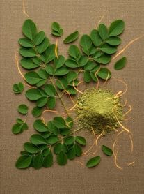 moringa leaves and powder, benefits of moringa powder