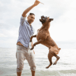 active man playing with dog