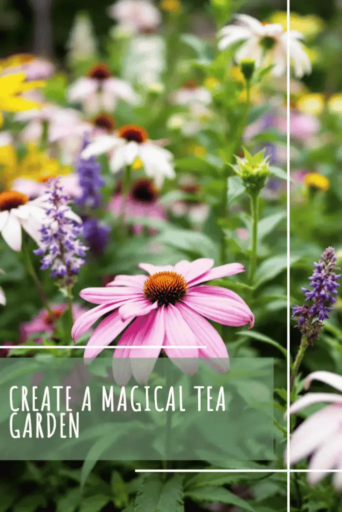 tea-garden-683 tea garden pinterest pin