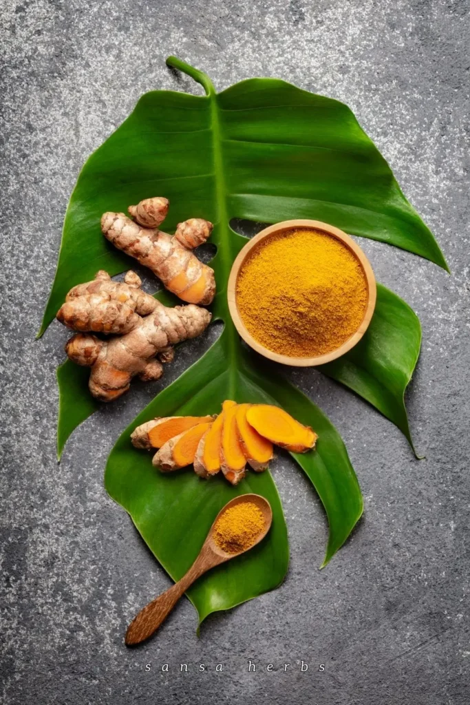 turmeric-root turmeric root, powder and slices